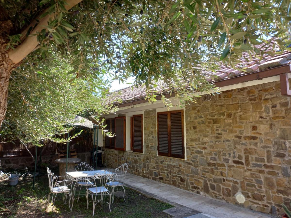 Belvedere Holiday home Castiglione della Pescaia